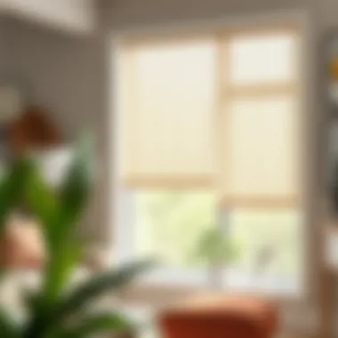 Magnificent An In-Depth Exploration of Home Depot Motorized Shades Magnificent An In-Depth Exploration of Home Depot Motorized Shades