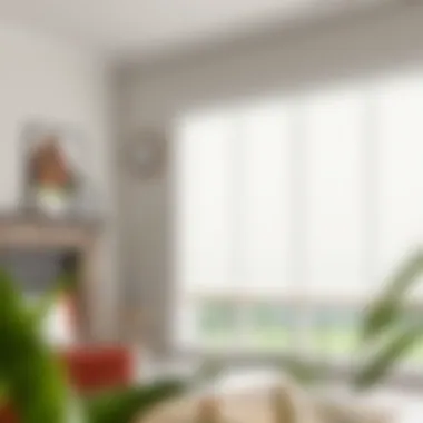 Magnificent Cordless Vinyl Light Filtering Blinds in White: An In-Depth Analysis Magnificent Cordless Vinyl Light Filtering Blinds in White: An In-Depth Analysis