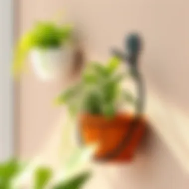 Magnificent Exploring Wall-Mounted Flower Pot Holder Rings: A Comprehensive Guide Magnificent Exploring Wall-Mounted Flower Pot Holder Rings: A Comprehensive Guide