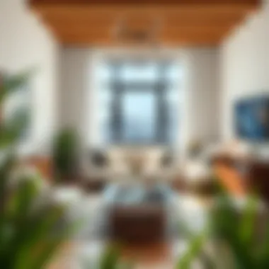 Magnificent First Apartment Decorating Ideas Magnificent First Apartment Decorating Ideas