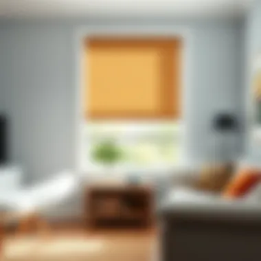 Magnificent Inside Mount Roller Blinds: A Comprehensive Guide Magnificent Inside Mount Roller Blinds: A Comprehensive Guide
