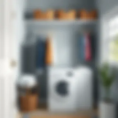 Magnificent Optimizing Your Laundry Room with the Right Clothes Hanger Magnificent Optimizing Your Laundry Room with the Right Clothes Hanger