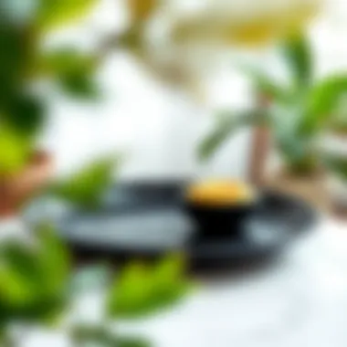 Magnificent The Aesthetic and Functional Aspects of the Large Black Plate Magnificent The Aesthetic and Functional Aspects of the Large Black Plate