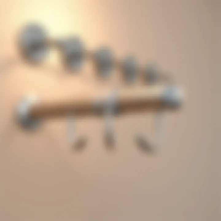 Magnificent The Comprehensive Guide to Stainless Steel Wall Hangers