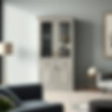 Magnificent The Double Wall Cabinet: Functionality and Design in Modern Spaces