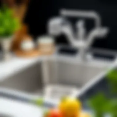 An In-Depth Examination of Kitchen Sink Dish Strainers Summary An In-Depth Examination of Kitchen Sink Dish Strainers Summary