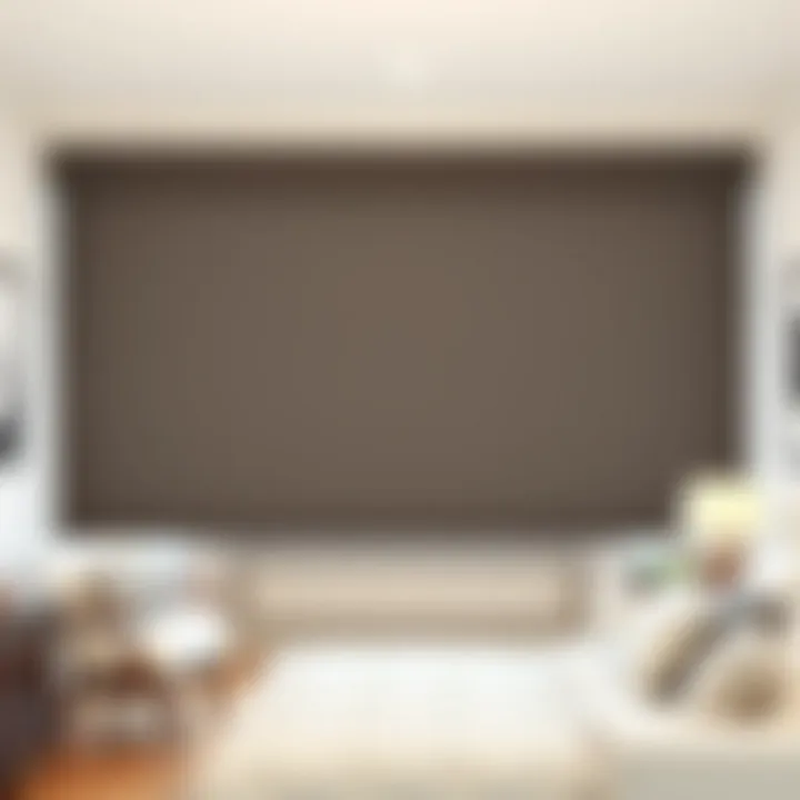 An In-Depth Exploration of Home Depot Motorized Shades Summary