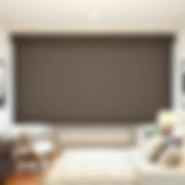 An In-Depth Exploration of Home Depot Motorized Shades Summary An In-Depth Exploration of Home Depot Motorized Shades Summary