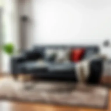 Notable Choosing the Right Rug for a Dark Gray Couch Notable Choosing the Right Rug for a Dark Gray Couch