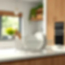 Stylish dish rack placed in a modern kitchen