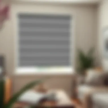 Installation of vinyl window shades by a professional