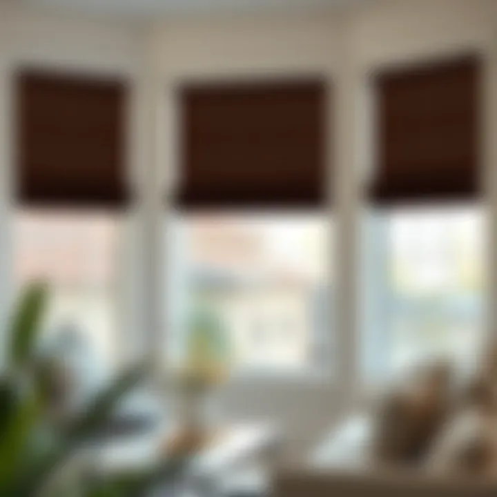 Vinyl window shades complementing contemporary decor