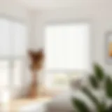 Cordless Vinyl Light Filtering Blinds in White: An In-Depth Analysis Introduction