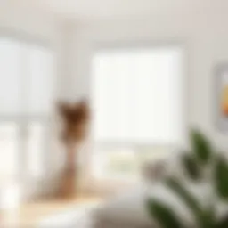 Cordless Vinyl Light Filtering Blinds in White: An In-Depth Analysis Introduction