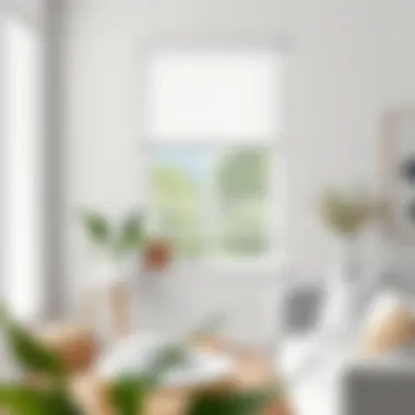 Notable Cordless Vinyl Light Filtering Blinds in White: An In-Depth Analysis Notable Cordless Vinyl Light Filtering Blinds in White: An In-Depth Analysis