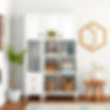 Cubby Storage Solutions from Bed Bath and Beyond Introduction