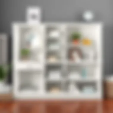 Notable Cubby Storage Solutions from Bed Bath and Beyond Notable Cubby Storage Solutions from Bed Bath and Beyond