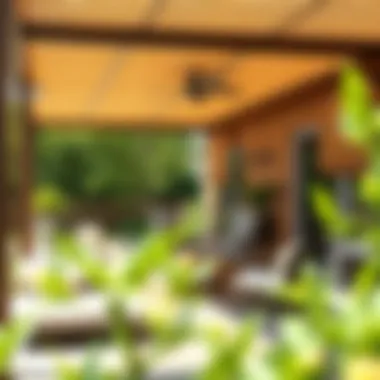 Elegant outdoor patio featuring bamboo blinds