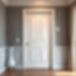 Elegant solid core interior door in modern setting