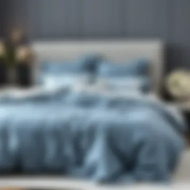 Elegant blue grey bedding set showcasing texture and patterns