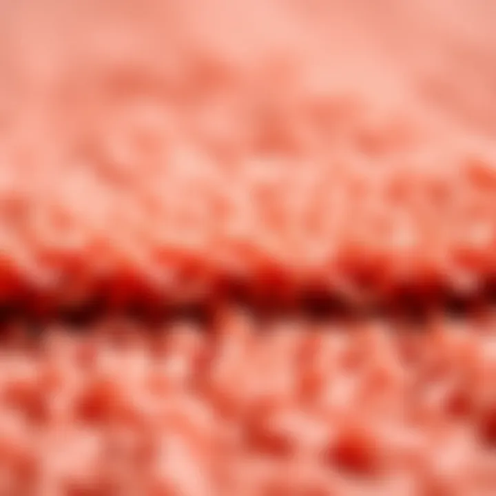 Close-up of texture and fibers of a coral orange bath mat