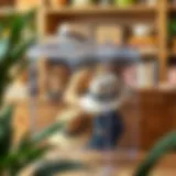 Stylish clear plastic hat storage box showcasing multiple hats