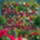 A vibrant live flower wall showcasing a variety of blooming plants