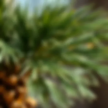 Intricate Details of a Faux Palm Tree Close-up of the intricate details of a faux palm tree
