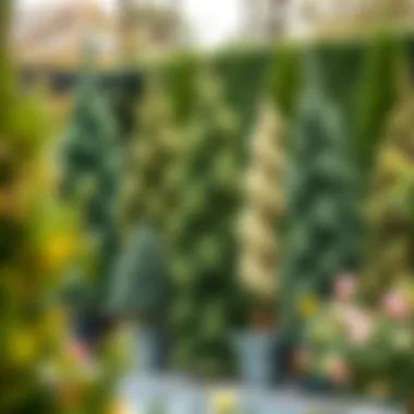 Diverse Styles of Faux Trees in Garden A collection of various faux tree styles in a garden setting