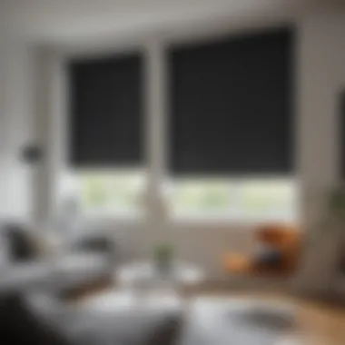 Elegant Fyrtur Blackout Blind Elegant Fyrtur blackout blind in a modern living room setting