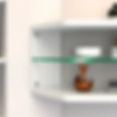 Close-up of glass corner shelf with maintenance tips