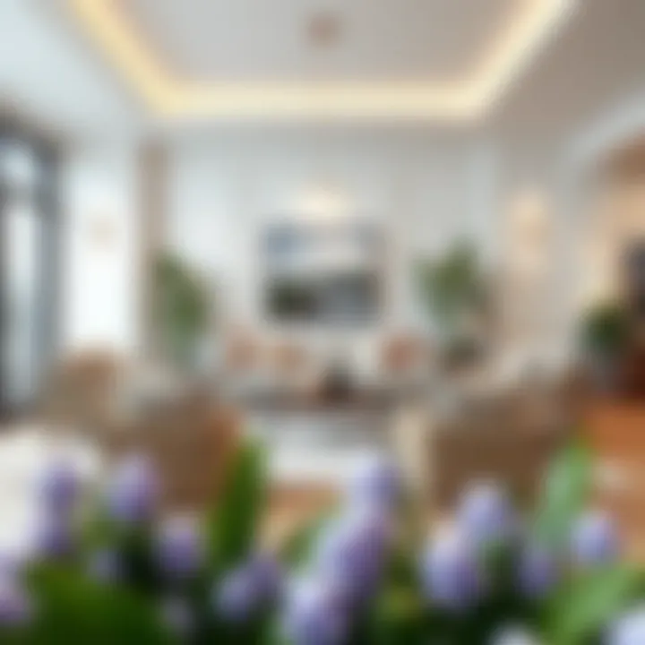 Elegant arrangement of large water hyacinth cubes in a modern living room