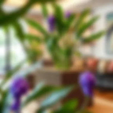 Stylish large water hyacinth cube used as a functional piece in interior design