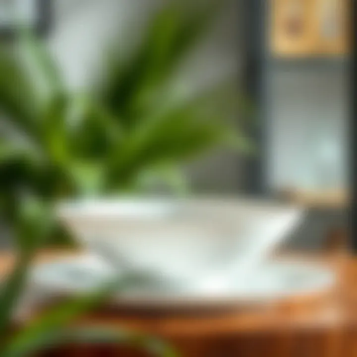 Elegant lightweight bowl showcasing modern design