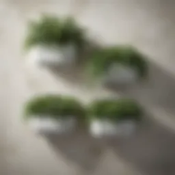 Elegant wall-mounted planter showcasing lush greenery against a textured wall