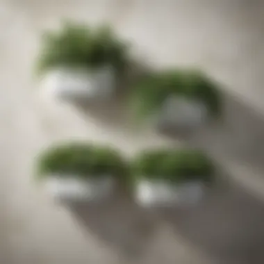 Lush Greenery in Wall-Mount Planters Elegant wall-mounted planter showcasing lush greenery against a textured wall