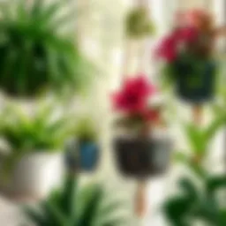 Elegant arrangement of plant trough hangers showcasing diverse plant species.