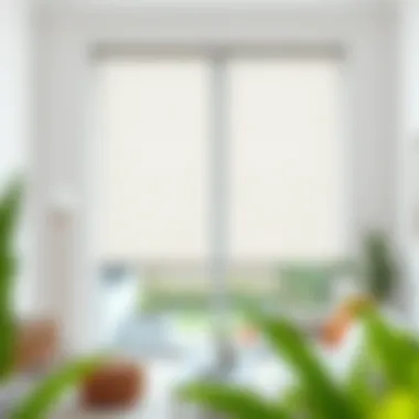 Installation of Sheer Fabric Roller Shades in Contemporary Space Installation process of sheer fabric roller shades in a contemporary space