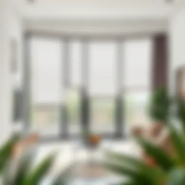 Variety of Sheer Fabric Roller Shades in Stylish Interior Variety of sheer fabric roller shades displayed in a stylish interior