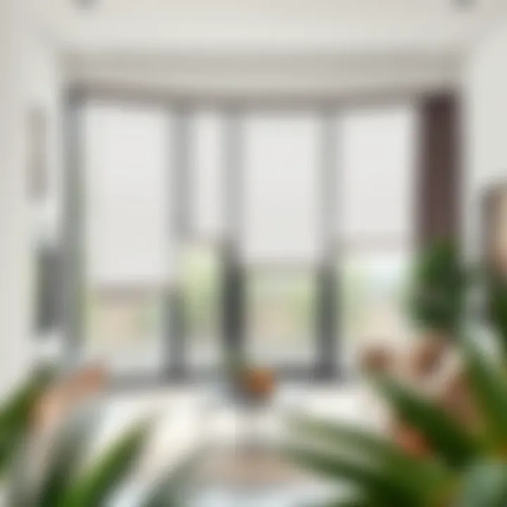 Variety of Sheer Fabric Roller Shades in Stylish Interior Variety of sheer fabric roller shades displayed in a stylish interior