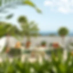 Exploring Spain's Outdoor Furniture Landscape Introduction