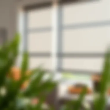 Notable Exploring the Aesthetic and Functional Benefits of Grey Blinds for Windows Notable Exploring the Aesthetic and Functional Benefits of Grey Blinds for Windows