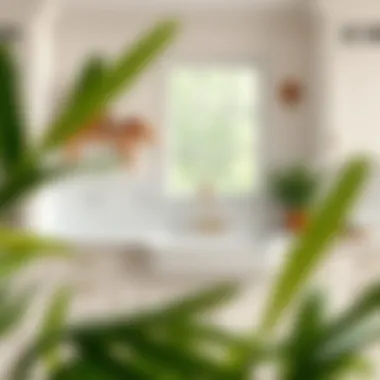 Exploring the Appeal of the White Double Farmhouse Sink Introduction Exploring the Appeal of the White Double Farmhouse Sink Introduction