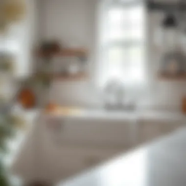 Notable Exploring the Appeal of the White Double Farmhouse Sink Notable Exploring the Appeal of the White Double Farmhouse Sink