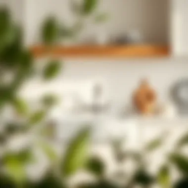 Exploring the Appeal of the White Double Farmhouse Sink Summary Exploring the Appeal of the White Double Farmhouse Sink Summary