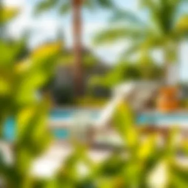 Notable Exploring the Dimensions of Pool Lounge Chairs Notable Exploring the Dimensions of Pool Lounge Chairs