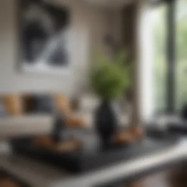 Elegant black counter tray displaying decorative items in a living room