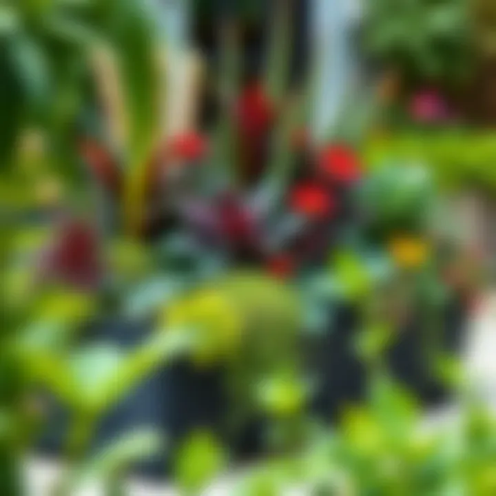 A beautifully arranged extra large outdoor planter box filled with diverse plants