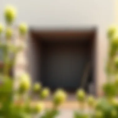 Exploring the Utility and Versatility of Large Sealed Storage Containers Summary