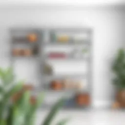 Exploring the Versatility of 8 Inch Deep Wire Shelving Units Introduction